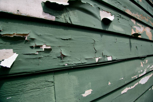 Best Recycling Services for Junk  in Bay Point, CA