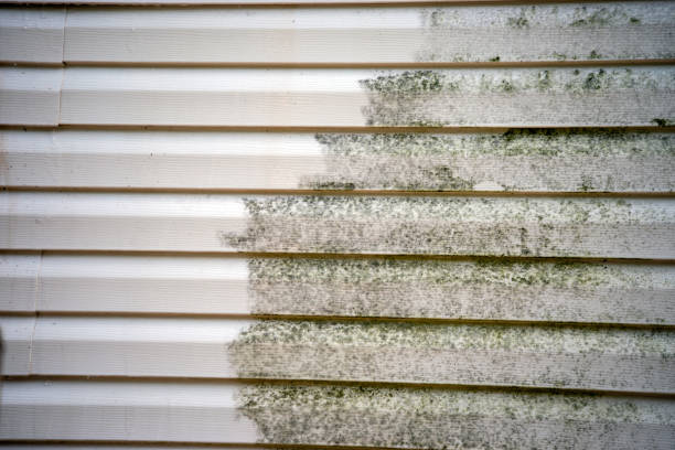 Property Management Cleanouts in Bay Point, CA